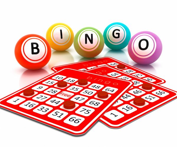 Pala Bingo USA download the new for android Pala Bingo USA download the new for android